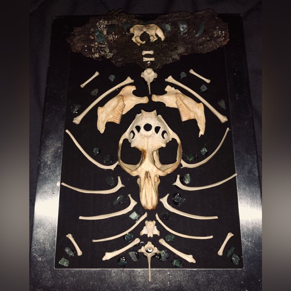 Muskrat Bone Art - Picture 1 of 2